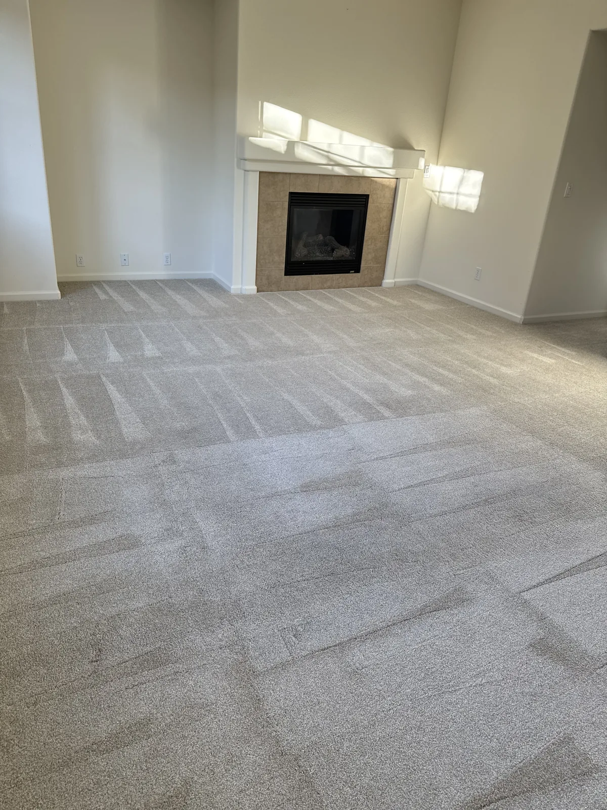 Freshly cleaned carpet in an empty living room